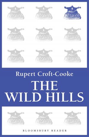 bigCover of the book The Wild Hills by 