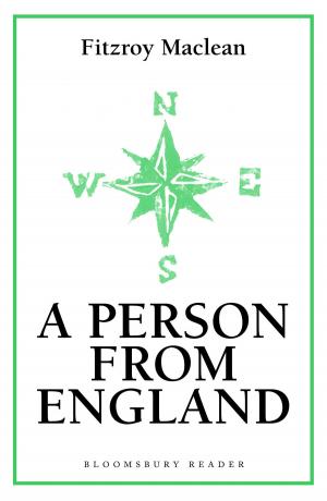 Cover of the book A Person From England by Jens Freyler