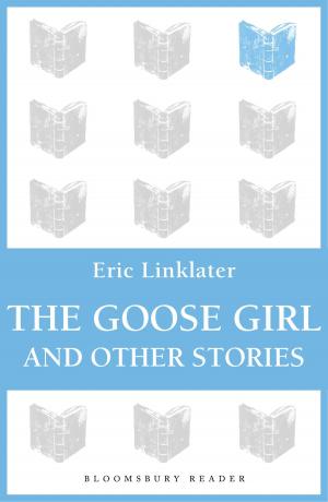 Cover of the book The Goose Girl and Other Stories by Laleh Khadivi