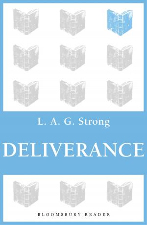 Cover of the book Deliverance by David J. Breeze