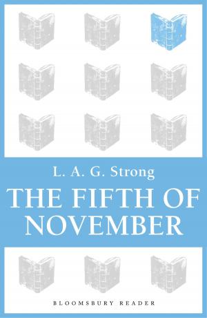 Cover of the book The Fifth of November by Kathleen York
