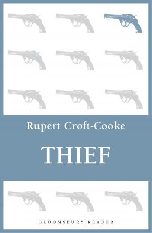 Cover of the book Thief by LeeAnn Mackenzie