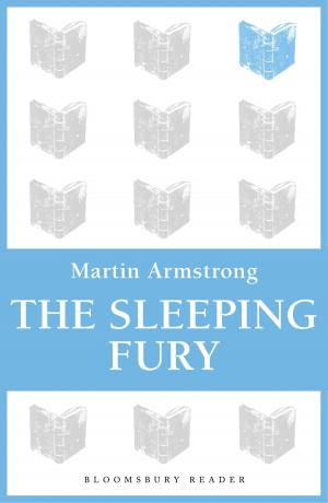 Cover of the book The Sleeping Fury by Darren Thompson