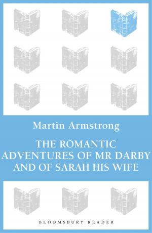 Cover of the book The Romantic Adventures of Mr. Darby and of Sarah His Wife by Cecilia Galante