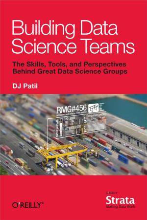 Cover of the book Building Data Science Teams by John Allspaw, Jesse Robbins