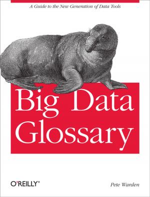 Cover of the book Big Data Glossary by Madhusudhan Konda