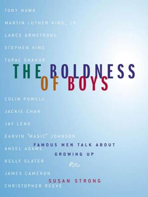 Cover of the book The Boldness of Boys by Dustin Brady, Jesse Brady