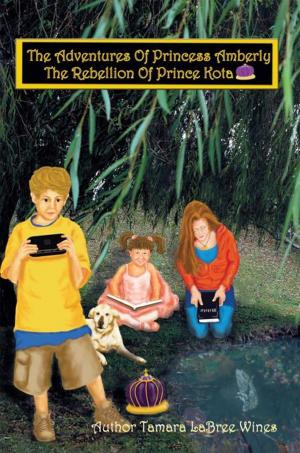 Cover of the book The Adventures of Princess Amberly by Jack B. Blount