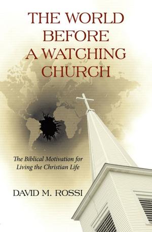 Cover of the book The World Before a Watching Church by Randal A. Wiedemann