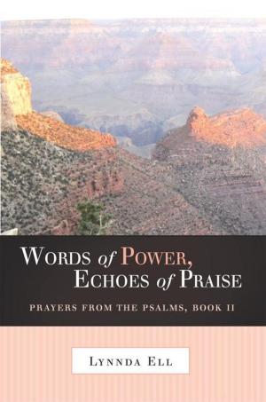 Cover of the book Words of Power, Echoes of Praise by Connie Pinkham
