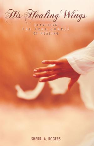 Cover of the book His Healing Wings by Sharon Hürkens