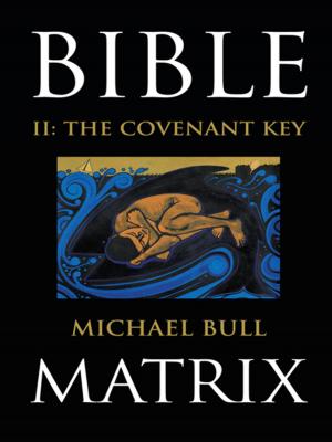 Cover of the book Bible Matrix Ii: the Covenant Key by David Waddell