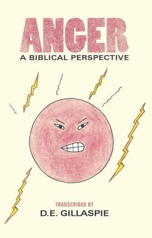 Cover of the book Anger, a Biblical Perspective by Olga Pellington