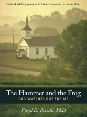 bigCover of the book The Hammer and the Frog, God Watches out for Me by 