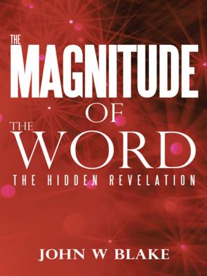Cover of the book The Magnitude of the Word by Patrick Mazani PhD