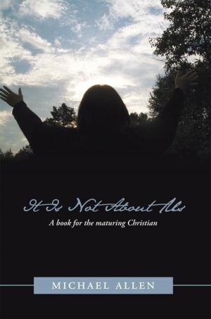 Cover of the book It Is Not About Us by Marisol Martinez