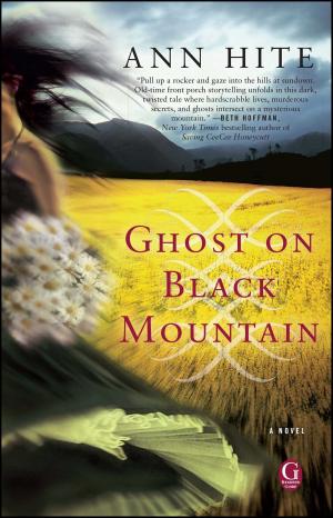 Cover of the book Ghost on Black Mountain by Stephen Seager