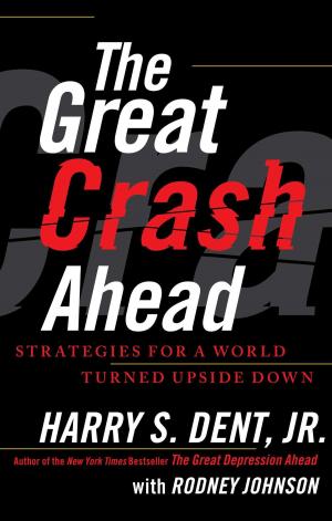 bigCover of the book The Great Crash Ahead by 