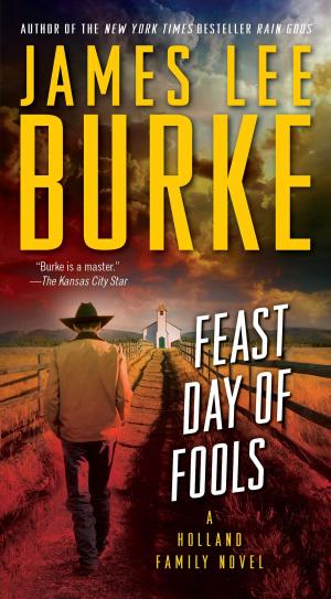 Cover of the book Feast Day of Fools by Dr. BJ Miller, Shoshana Berger