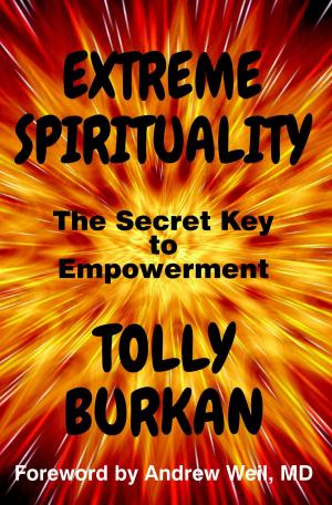 Cover of the book Extreme Spirituality by Nancy Garen