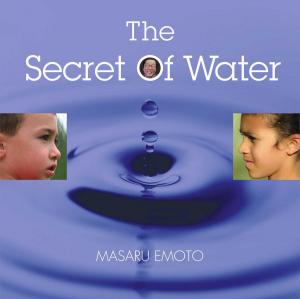 Cover of the book The Secret of Water by Chris Mooney
