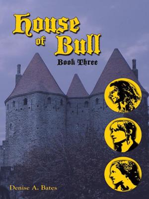 Cover of the book House of Bull by B. Nehemiah Aiken