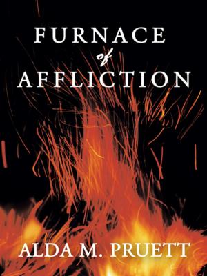 bigCover of the book Furnace of Affliction by 
