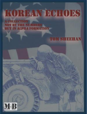 bigCover of the book Korean Echoes by 
