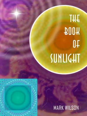 Book cover of The Book of Sunlight