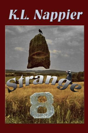 bigCover of the book Strange Eight by 