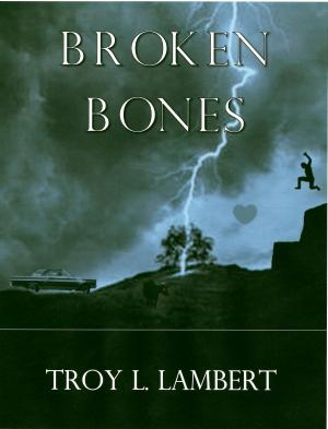 Cover of Broken Bones