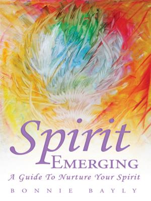 Cover of the book Spirit Emerging by Cathie G. Stivers