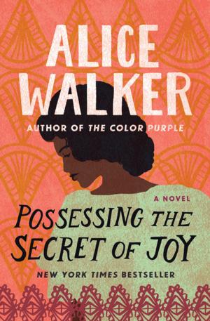 Book cover of Possessing the Secret of Joy