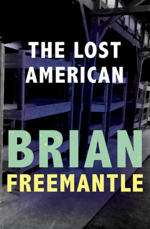 bigCover of the book The Lost American by 
