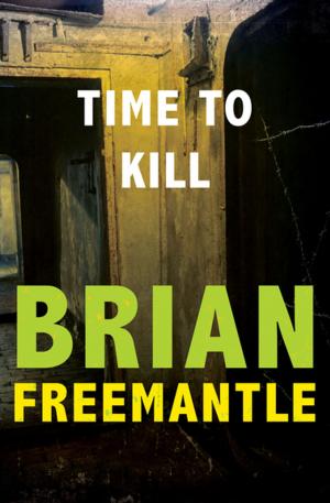 Cover of the book Time to Kill by Alice Hoffman