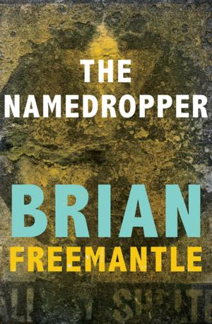Cover of the book The Namedropper by Rebecca Bernadette Mance