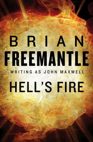 Cover of the book Hell's Fire by Maryam Jorjani