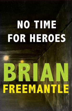 Cover of the book No Time for Heroes by Amanda Scott