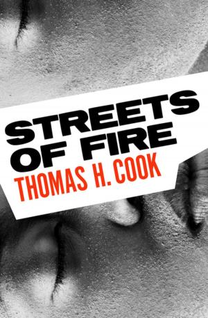 Book cover of Streets of Fire