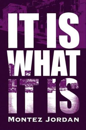 Cover of the book It Is What It Is by John V. Spillman