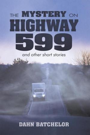 Cover of the book The Mystery on Highway 599 and Other Short Stories by K.L. 1 Roy