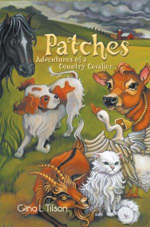 Cover of the book Patches by Madison McGarr