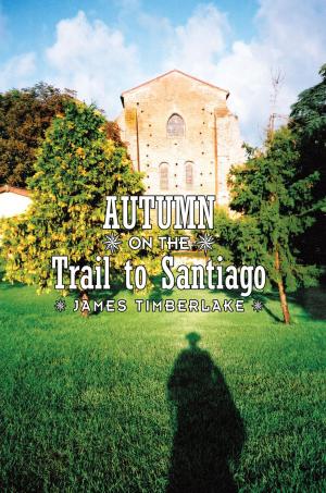 Cover of the book Autumn on the Trail to Santiago by Dale Richard Perelman