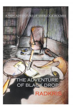 Cover of the book The Adventure of Black Drop by Stephanie Vollmer