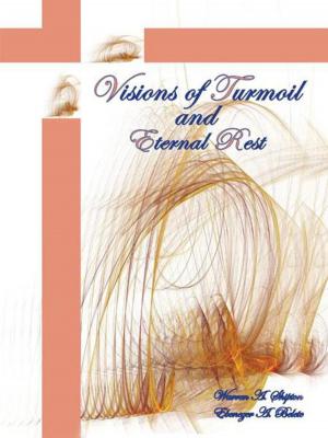 Cover of the book Visions of Turmoil and Eternal Rest by Lisa Larsson