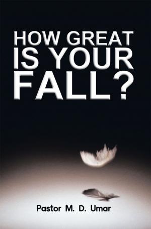 Cover of the book How Great Is Your Fall? by Max Ratheal