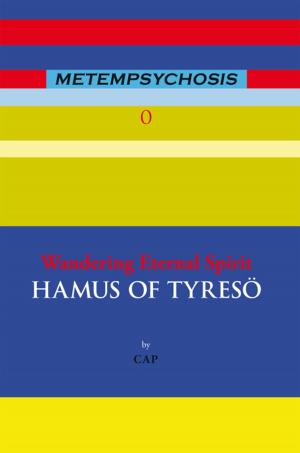 Cover of the book Metempsychosis by KC Burn