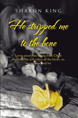 Book cover of He Stripped Me to the Bone