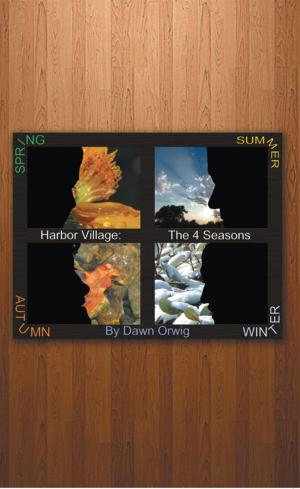Cover of the book Harbor Village: the 4 Seasons by Niki Love Jackson-Blake