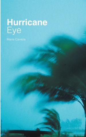Book cover of Hurricane Eye